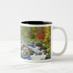 VS, New York. Een waterval in de Adirondack Tweekleurige Koffiemok
