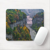 VS, New York, Letchworth State Park. Rivier en Muismat (Met muis)