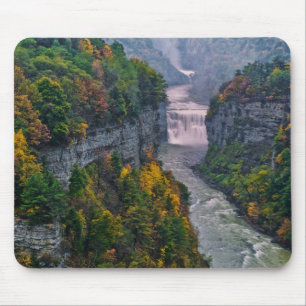VS, New York, Letchworth State Park. Rivier en Muismat