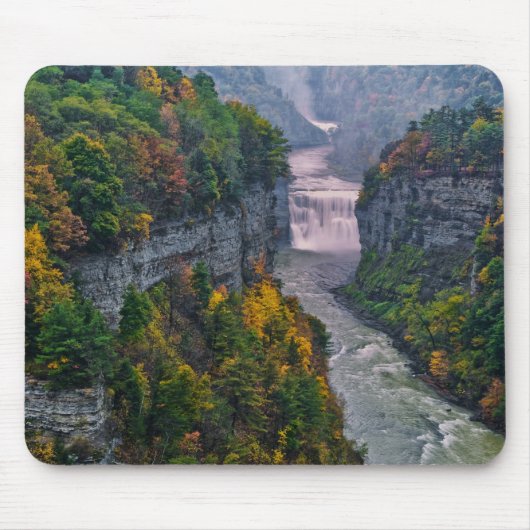 VS, New York, Letchworth State Park. Rivier en Muismat (Voorkant)