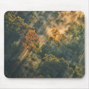 VS, New York, Letchworth State Park. Zonsopgang Muismat