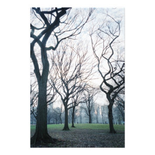 VS, New York, New York City: Central Park Foto Afdruk