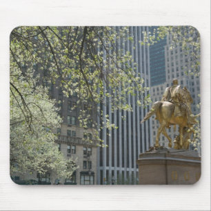 VS, New York, New York City, Manhattan: 16 Muismat