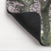 VS, New York, Oost Hampton. Kerriebomen in Muismat (Hoek)