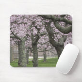 VS, New York, Oost Hampton. Kerriebomen in Muismat (Met muis)