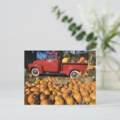 VS, New York, Peconic, pompoenboerderij met bestel Briefkaart (Staand voorkant)