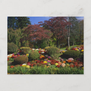 VS, New York, Saugerties, Seamon Park. Herfst Briefkaart