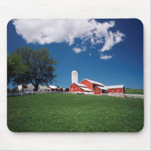 VS, New York, Sharon Springs, Boerderij Muismat