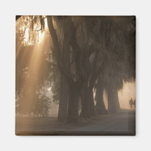 VS; Noord-Amerika; Georgië; Savannah. Jongens Magneet