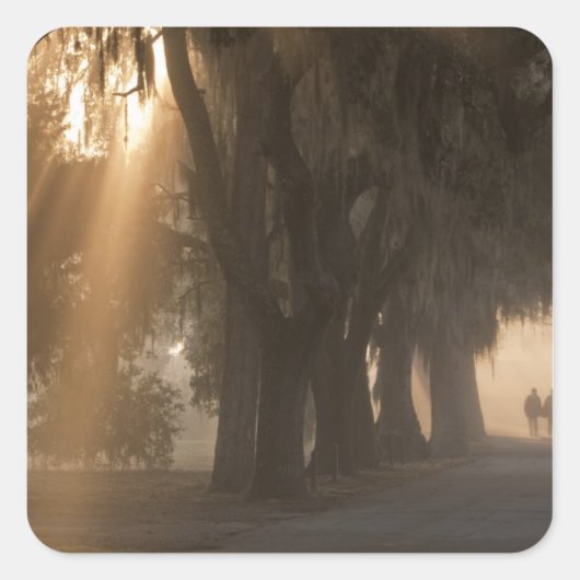 VS; Noord-Amerika; Georgië; Savannah. Jongens Vierkante Sticker (Voorkant)