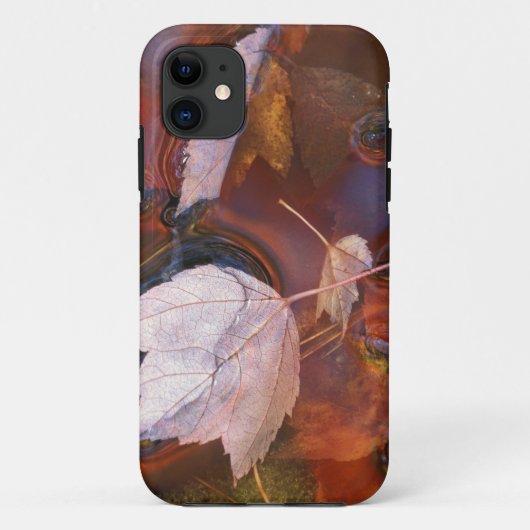 VS, Noordoost, Herfstbladeren in plas met Case-Mate iPhone Case (Achterkant)
