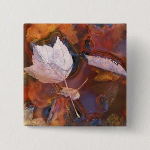 VS, Noordoost, Herfstbladeren in plas met Vierkante Button 5,1 Cm
