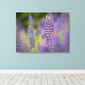VS, Noordoost-Minnesota, nabij Silver Bay, Canvas Afdruk (Insitu (Houten vloer))