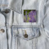 VS, Noordoost-Minnesota, nabij Silver Bay, Vierkante Button 5,1 Cm (In situ)