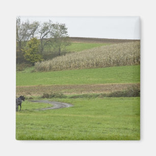 VS, Noordoost Ohio. Amish buggy op boerderij Magneet