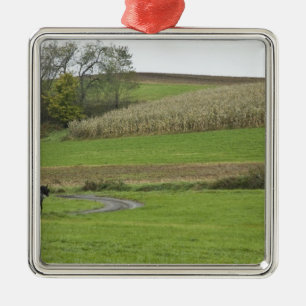 VS, Noordoost Ohio. Amish buggy op boerderij Metalen Ornament
