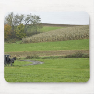 VS, Noordoost Ohio. Amish buggy op boerderij Muismat