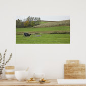 VS, Noordoost Ohio. Amish buggy op boerderij Poster (Keuken)