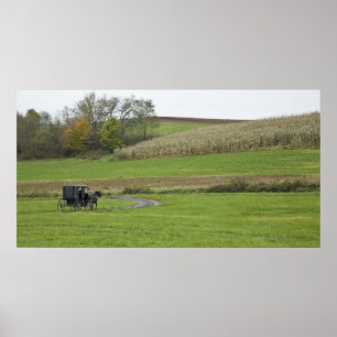 VS, Noordoost Ohio. Amish buggy op boerderij Poster