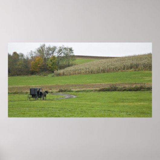 VS, Noordoost Ohio. Amish buggy op boerderij Poster (Voorkant)