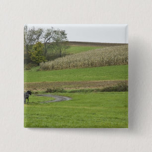 VS, Noordoost Ohio. Amish buggy op boerderij Vierkante Button 5,1 Cm