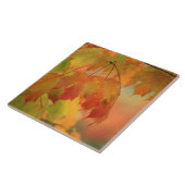 VS, noordoosten, Maple Leaves in Rain. Krediet als Tegeltje (Zijkant)