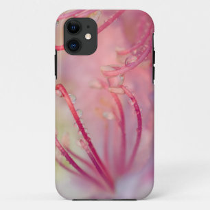 VS, North Carolina. Catawba rododendron met Case-Mate iPhone Case