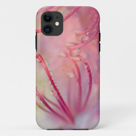VS, North Carolina. Catawba rododendron met Case-Mate iPhone Case (Achterkant)