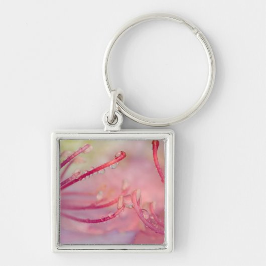 VS, North Carolina. Catawba rododendron met Sleutelhanger (Voorkant)