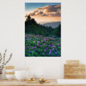 VS, North Carolina. Catawba rododendrons Poster (Keuken)