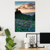 VS, North Carolina. Catawba rododendrons Poster (Thuiskantoor)