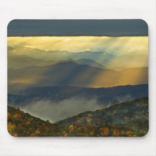 VS, North Carolina, Great Smoky Mountains. Muismat (Voorkant)