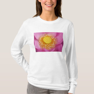 VS; North Carolina; Lotus bloeit in de T-shirt