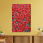 VS, Ohio, Cincinnati. Bed met rode tulpen Canvas Afdruk (Insitu (Woonkamer))