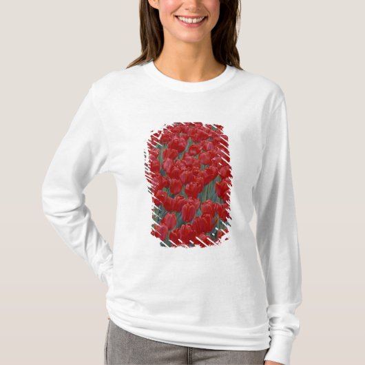 VS, Ohio, Cincinnati. Bed met rode tulpen T-shirt (Voorkant)