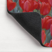 VS, Ohio, Cincinnati. Bed van rode tulpen Muismat (Hoek)