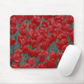 VS, Ohio, Cincinnati. Bed van rode tulpen Muismat (Met muis)