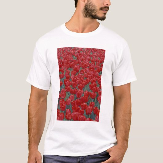 VS, Ohio, Cincinnati. Bed van rode tulpen T-shirt (Voorkant)