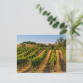 VS, Oost-Washington, Walla Walla Wingerd Briefkaart (Staand voorkant)