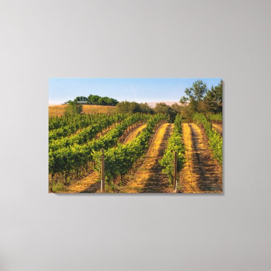 VS, oostelijk Washington, Walla Walla Vineyards Canvas Afdruk (Voorkant)