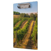 VS, oostelijk Washington, Walla Walla Vineyards Klembord (Links)