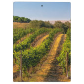 VS, oostelijk Washington, Walla Walla Vineyards Klembord (Achterkant)