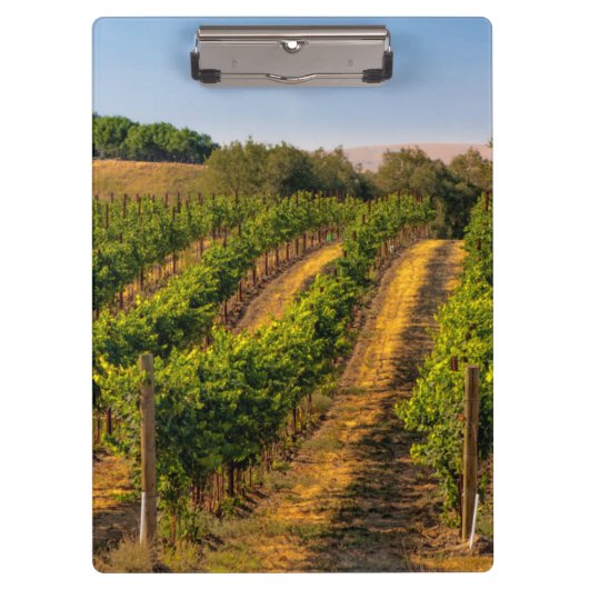 VS, oostelijk Washington, Walla Walla Vineyards Klembord (Voorkant)