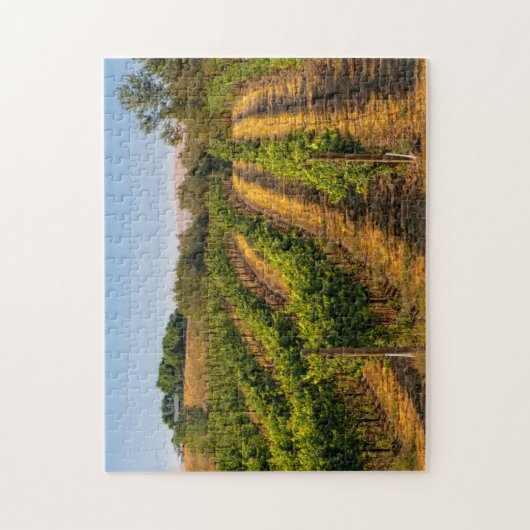 VS, oostelijk Washington, Walla Walla Wingerd Legpuzzel (Verticaal)