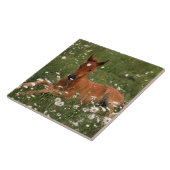 VS, Oregon, Arabisch Pony. Tegeltje (Zijkant)