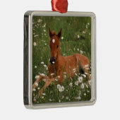 VS, Oregon, Arabische Pony. Metalen Ornament (Rechts)