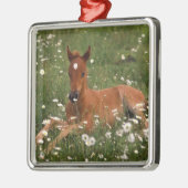 VS, Oregon, Arabische Pony. Metalen Ornament (Links)