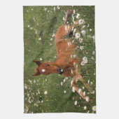 VS, Oregon, Arabische Pony. Theedoek (Verticaal)