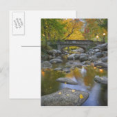 VS, Oregon, Ashland, Lithia Park. Herfst Briefkaart (Voorkant / Achterkant)