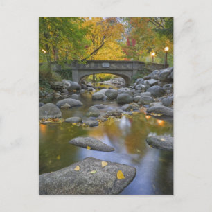 VS, Oregon, Ashland, Lithia Park. Herfst Briefkaart